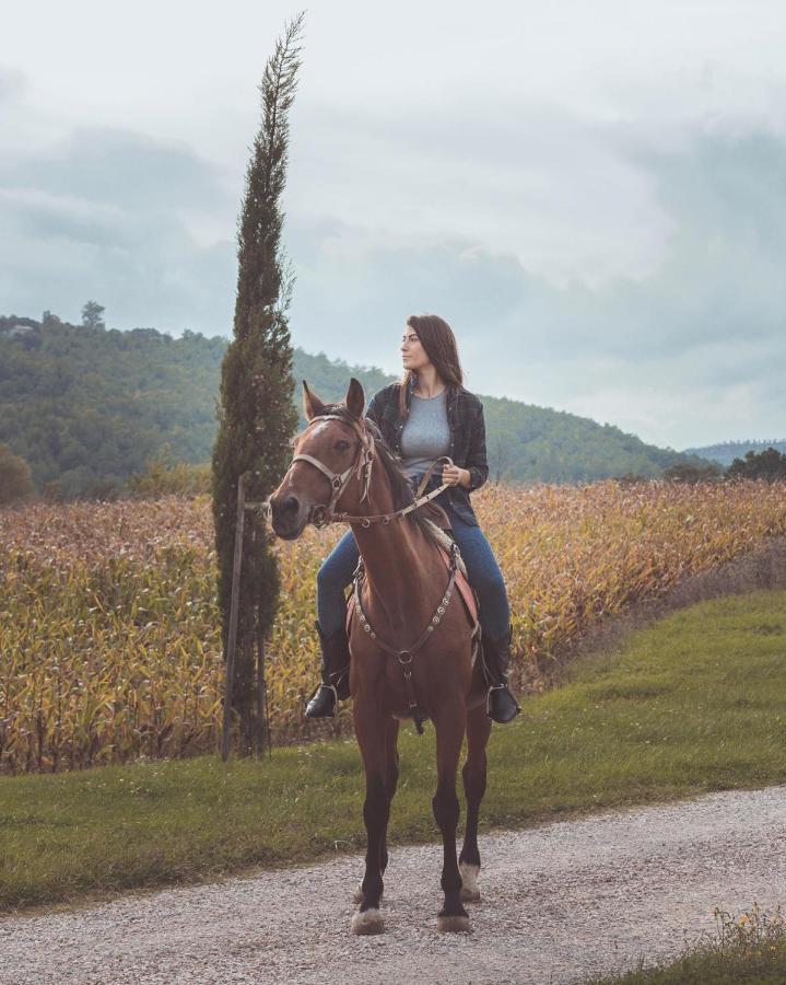 Agriturismo Querceto Mocaiana Ngoại thất bức ảnh