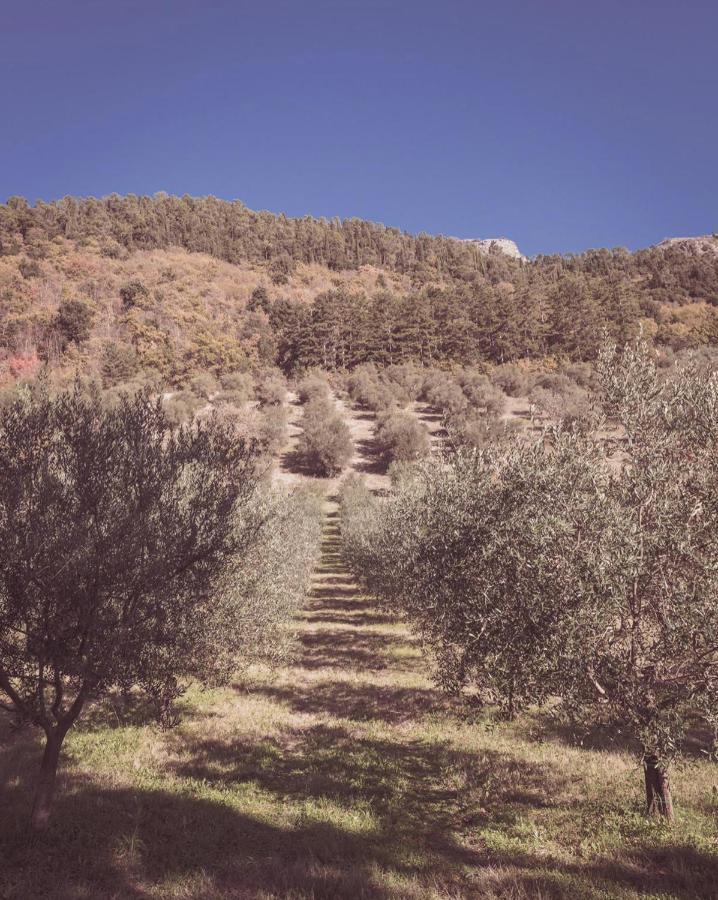 Agriturismo Querceto Mocaiana Ngoại thất bức ảnh