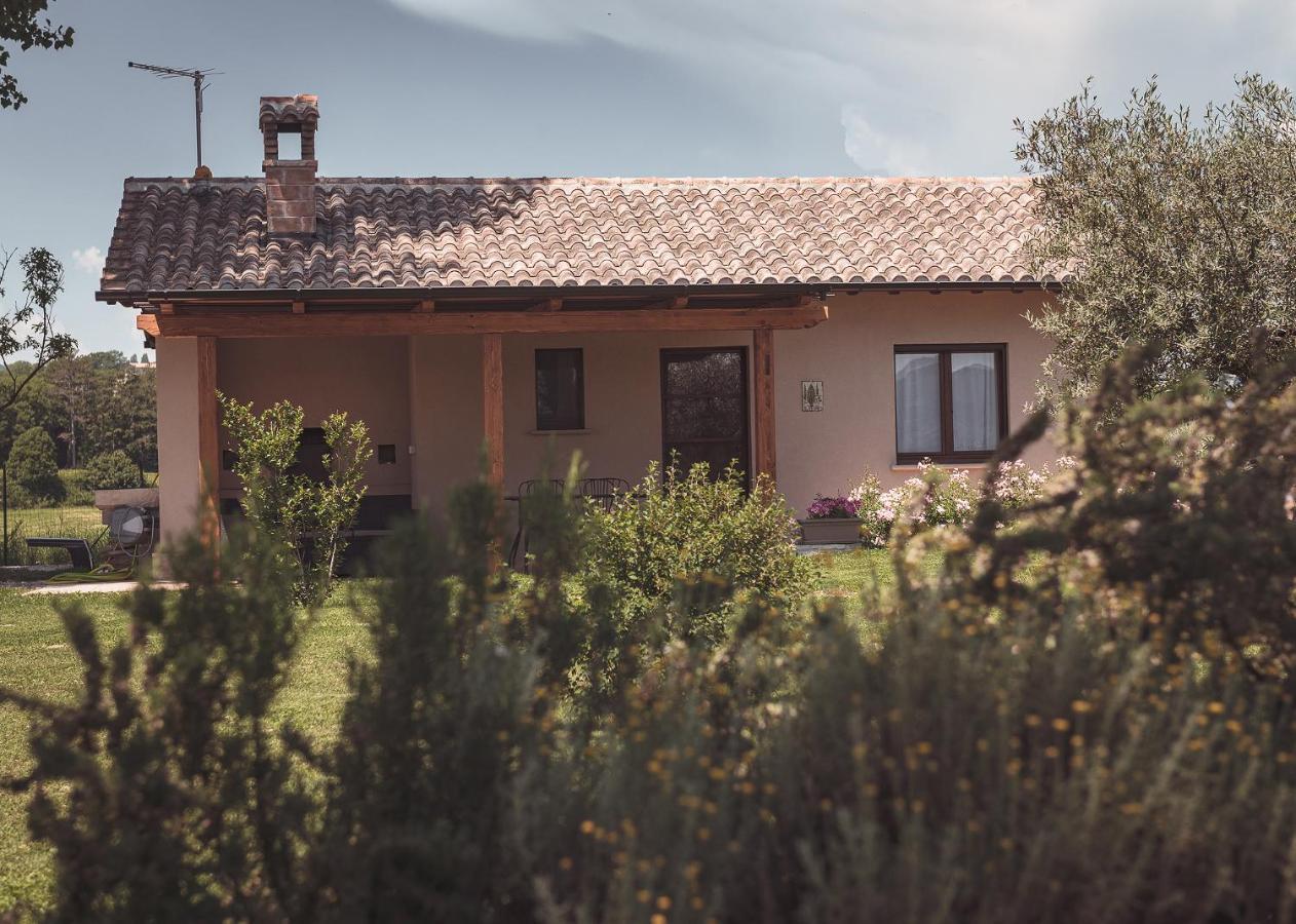 Agriturismo Querceto Mocaiana Ngoại thất bức ảnh