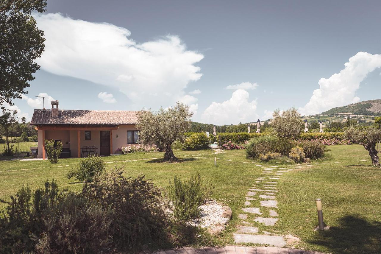 Agriturismo Querceto Mocaiana Ngoại thất bức ảnh